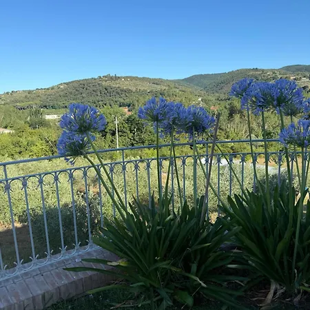 La Casa Di Mario Vakantiehuis
