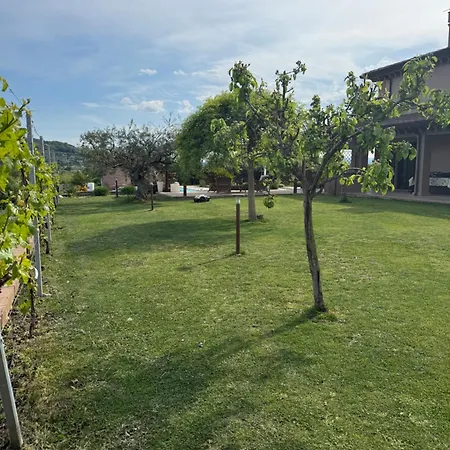 La Casa Di Mario *
