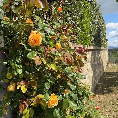 La Casa Di Mario Vakantiehuis *